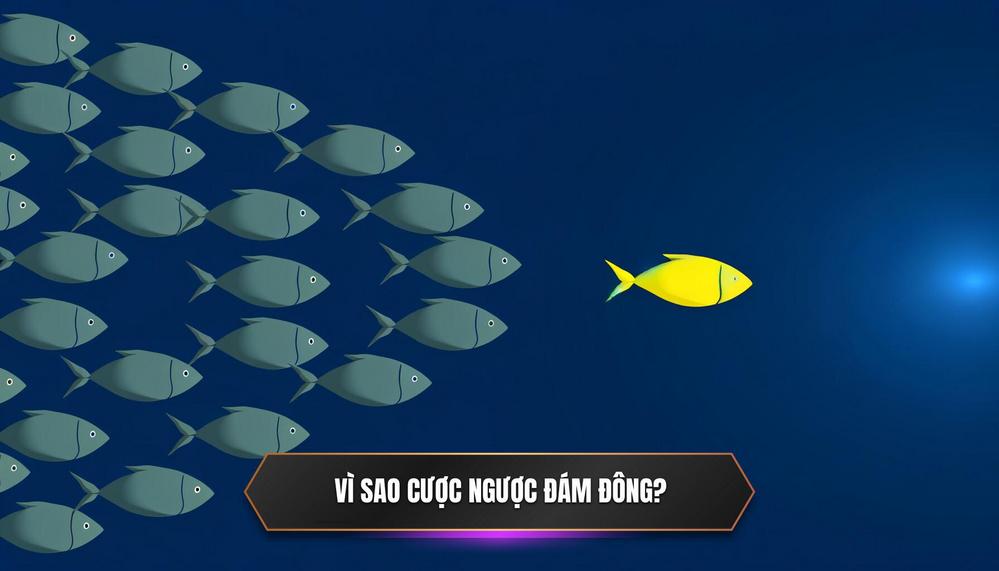 Vì sao cược ngược đám đông?